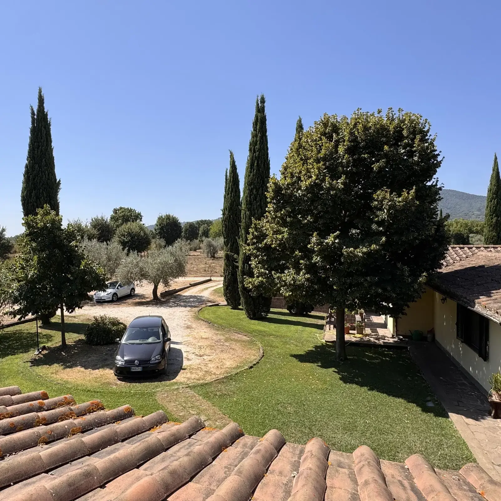 Il giardino dell'Oasi del Verde visto dall'alto, con il parcheggio interno tra gli alberi